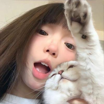 墨城谜案